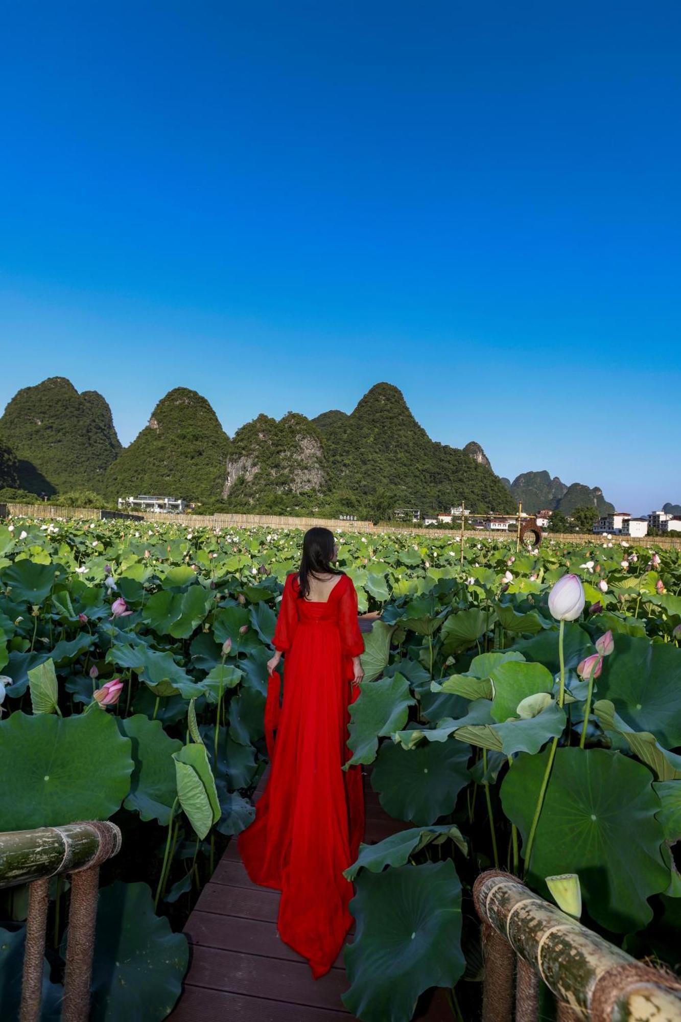 Yangshuo Tea Cozy--One Way Free Pick Up From Airport Or Ts 4 Nights Guest House Bagian luar foto